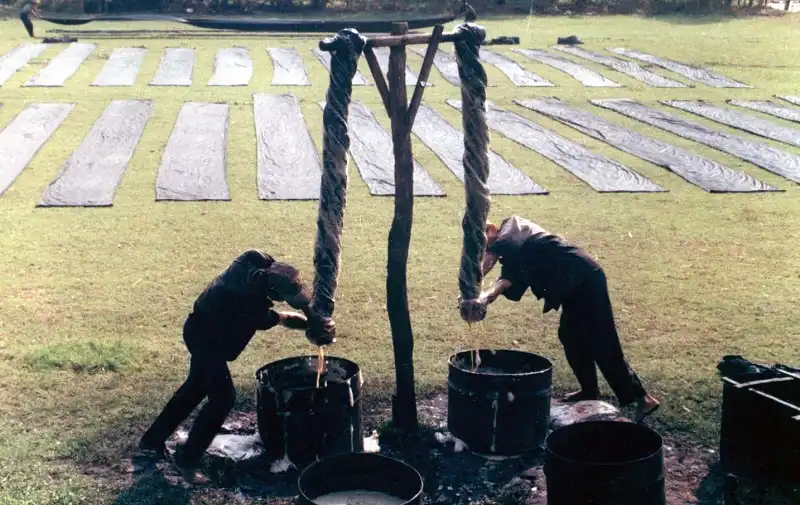 wanderlusttips-lua-tan-chau