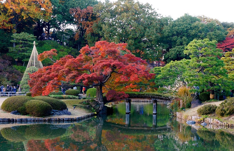 6 điểm ngắm "momiji" đẹp nhất xứ Phù Tang 5 wanderlusttips nhat ban