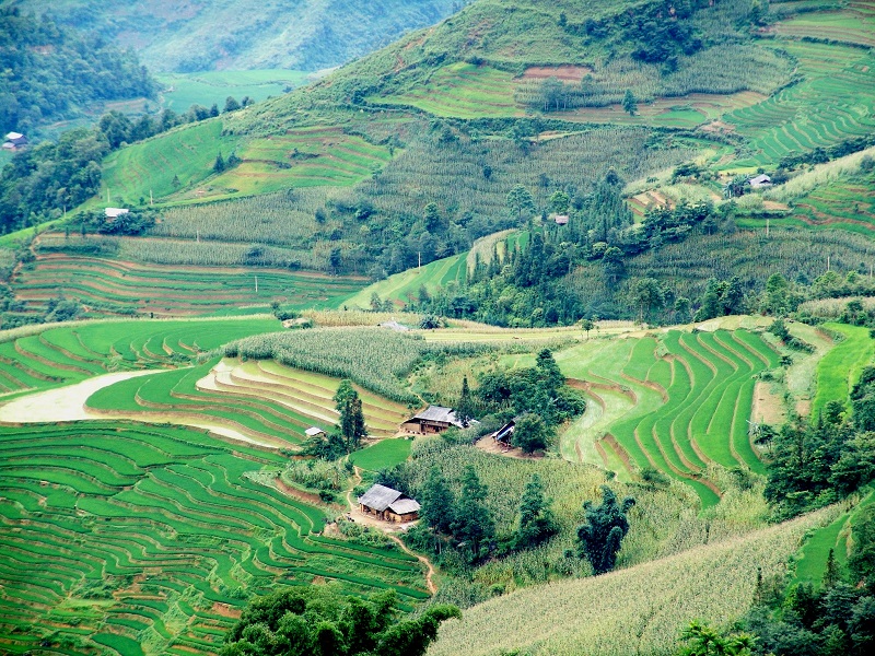 wanderlusttips simacai