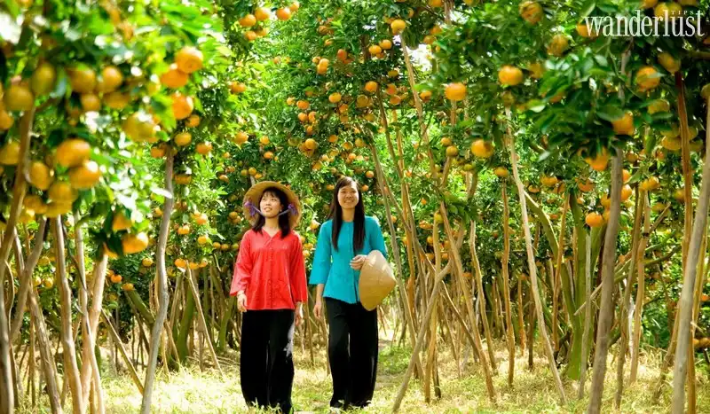 Tạp chí Du lịch Wanderlust Tips Kinh nghiệm ba ngày du lịch Tiền Giang siêu rẻ dịp Tết Dương lịch