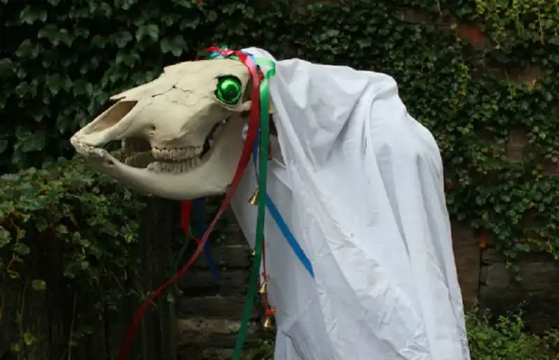 waderlusttips-rung-minh-nhung-tap-tuc-giang-sinh-dang-so-3