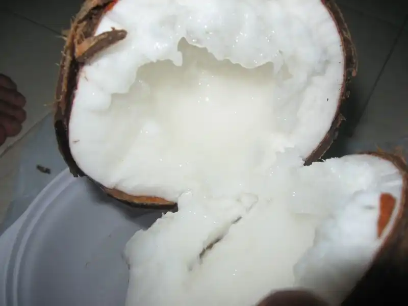 wanderlusttips-10-dac-san-tra-vinh-4