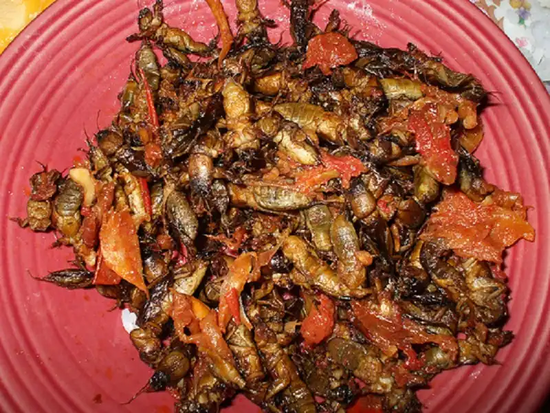 wanderlusttips-10-mon-an-philippines-7