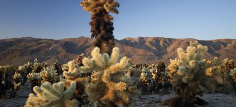 20 kỳ nghỉ kiểu thư giãn cho người lười vận động 11 wanderlusttips-20-ky-nghi-kieu-thu-gian-cho-nguoi-luoi-van-dong-10