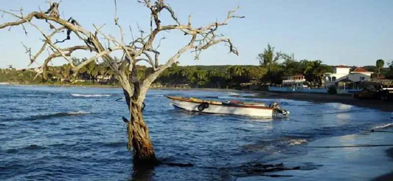 20 kỳ nghỉ kiểu thư giãn cho người lười vận động 8 wanderlusttips-20-ky-nghi-kieu-thu-gian-cho-nguoi-luoi-van-dong-7