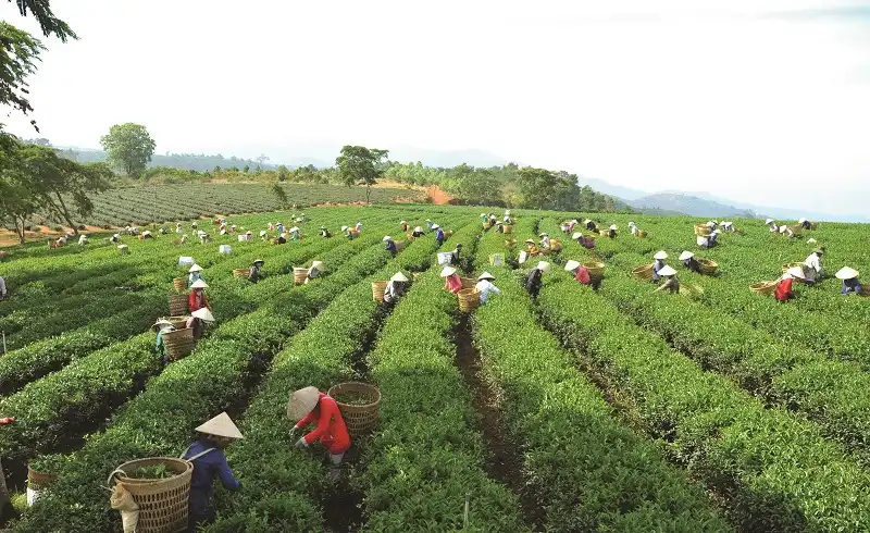 5 địa điểm du lịch bụi lý tưởng mùa Giáng sinh 2015 6 wanderlusttips-5-dia-diem-du-lich-bui-giang-sinh-2015-4