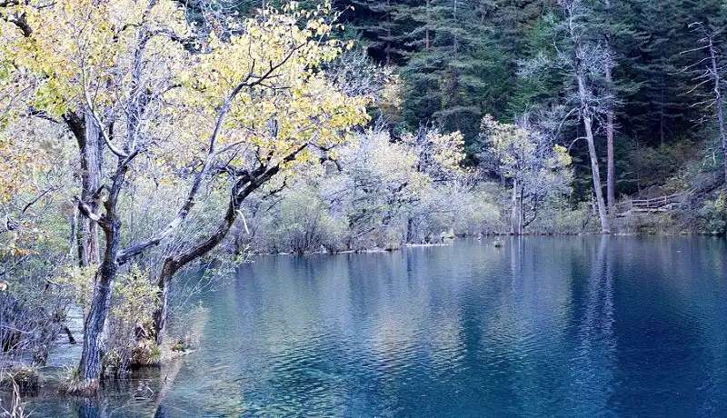 5 địa điểm ngắm tuyết rơi cực đẹp ở Trung Quốc 6 wanderlusttips-5-dia-diem-ngam-tuyet-o-trung-quoc