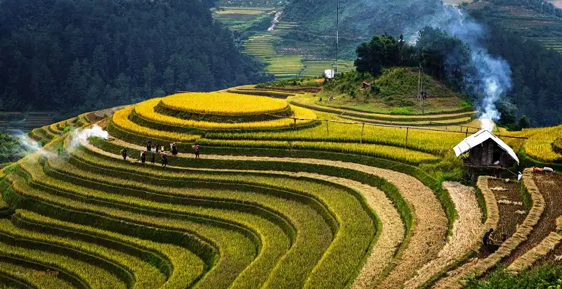 5 điểm đến ở Việt Nam được mệnh danh đẹp và đáng sống nhất hành tinh 7 wanderlusttips-5-dia-diem-o-viet-nam-dep-nhat-hanh-tinh