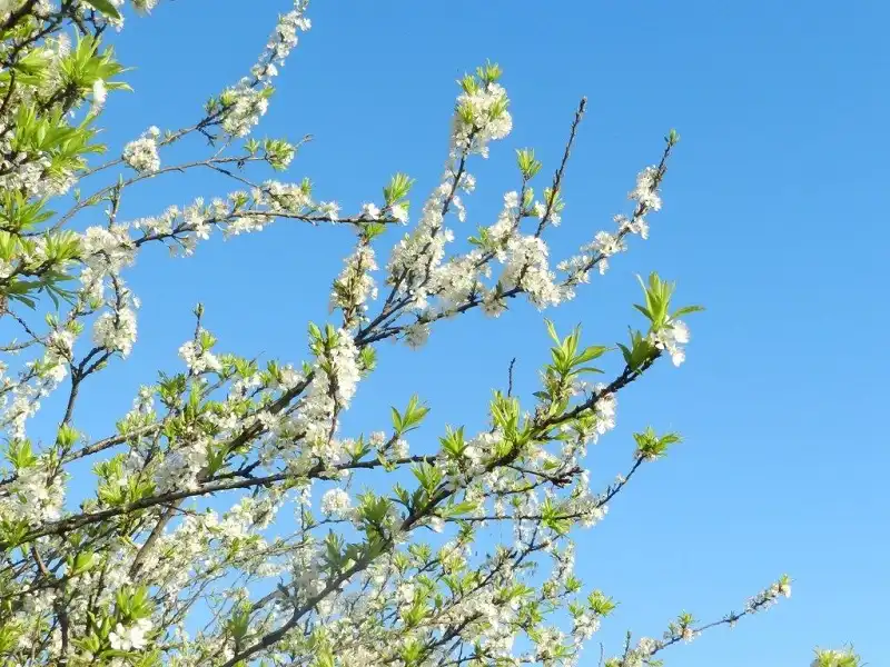 wanderlusttips-5-diem-den-thang12-3