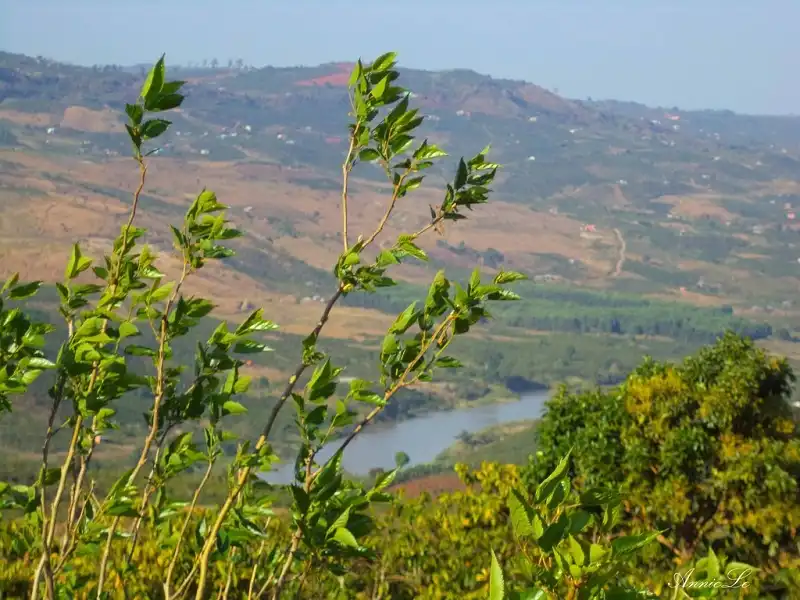Cao nguyên Di Linh mộc mạc đầy sức hút 6 wanderlusttips-cao-nguyen-di-linh-moc-mac-day-quyen-ru-1