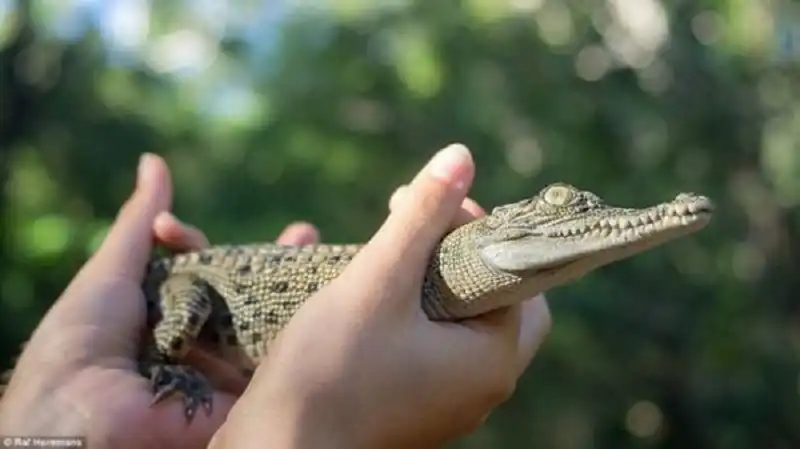 wanderlusttips-chang-trai-nguoi-australia-du-lich-phuot-viet-nam-2