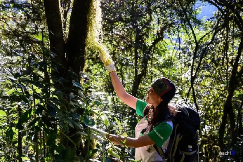 wanderlusttips-chinh-phuc-ta-lien-son-hung-vy-3