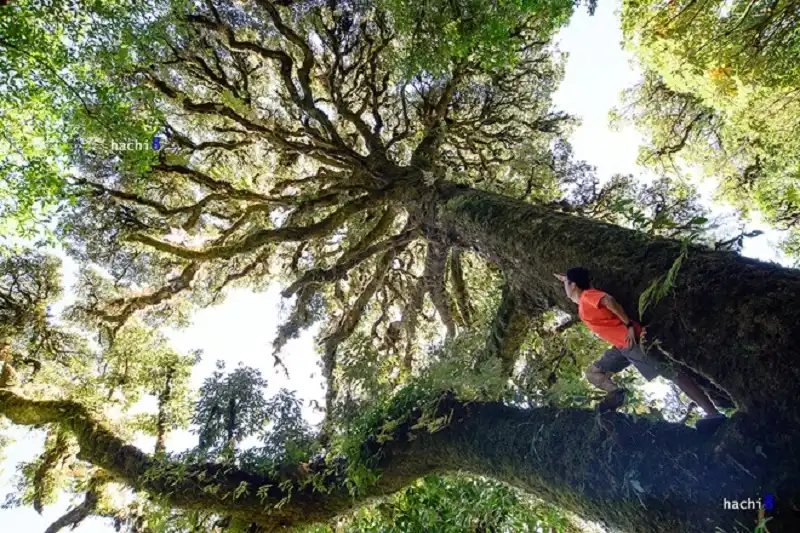 wanderlusttips-chinh-phuc-ta-lien-son-hung-vy-4