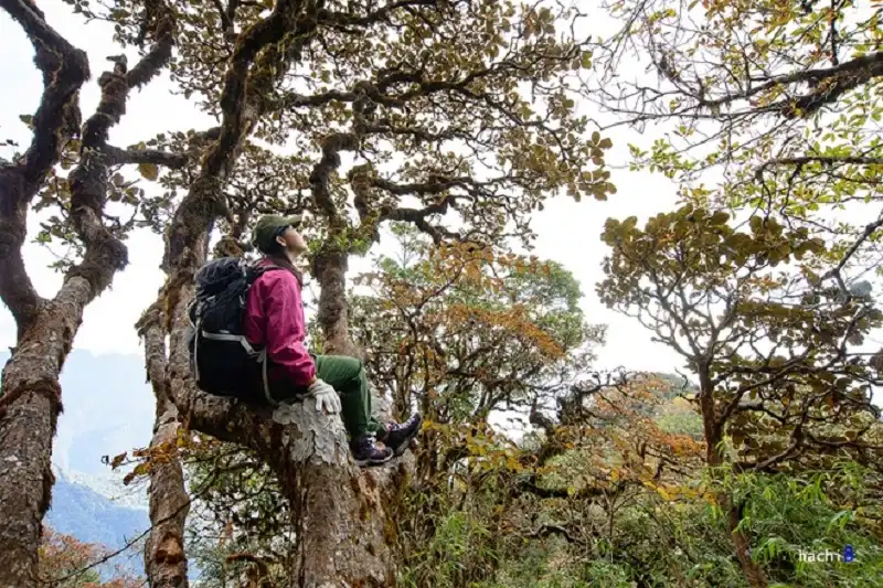 wanderlusttips-chinh-phuc-ta-lien-son-hung-vy-6