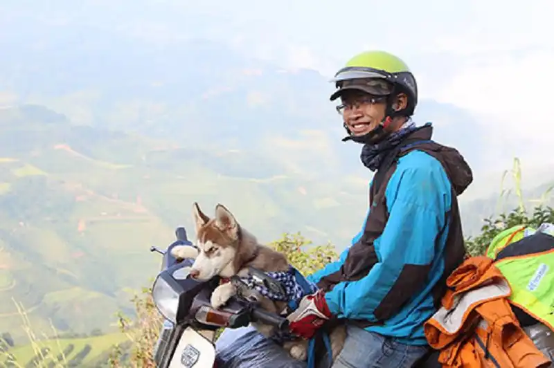 Hành trình thú vị của chú chó theo chủ phượt khắp Hà Giang 5 wanderlusttips-cuoc-hanh-trinh-chu-cho-di-phuot-cung-chu-o-ha-giang-2