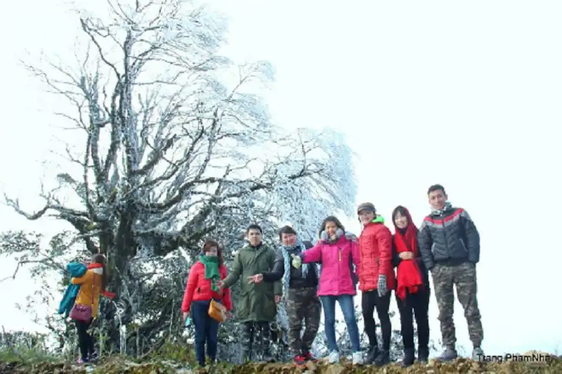 wanderlusttips- du - khach-do-xo-sapa-cao-bang-ngam-tuyet-1