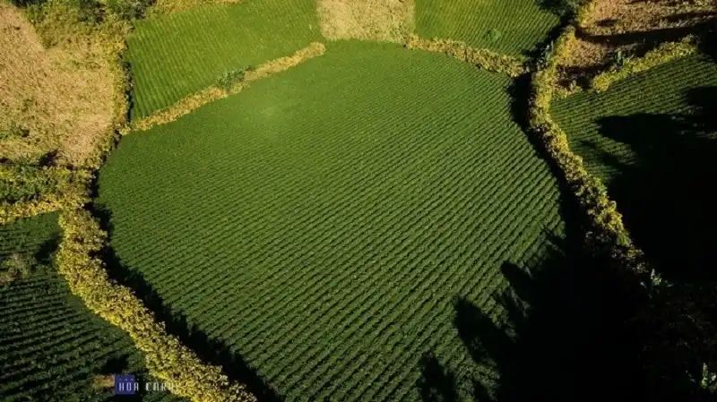 Hành trình khám phá núi lửa lớn nhất Tây Nguyên 7 wanderlusttips-du-lich-chu-dang-ya-gia-lai-4