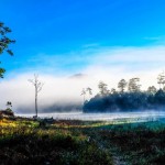 wanderlusttips du lich ho tuyen lam da lat 4