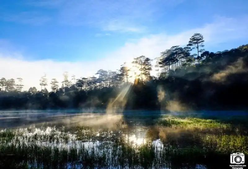 wanderlusttips-du-lich-ho-tuyen-lam-da-lat-5