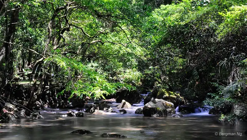 wanderlusttips-du-lich-hong-kong-8