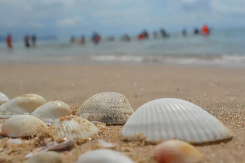 wanderlusttips-du-lich-mui-ne-1