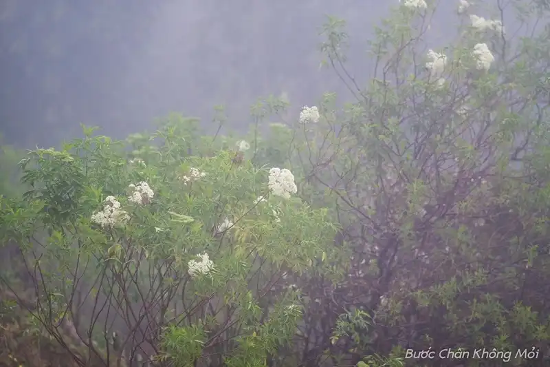 Lên Yên Bái săn mây Tà Xùa 12 wanderlusttips- du-lich-ta-xua-7