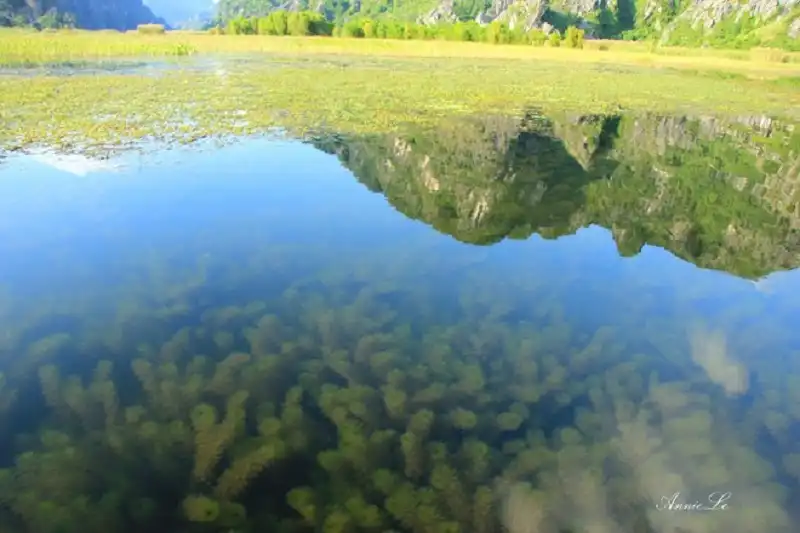 wanderlusttips-du-lich-van-long-3