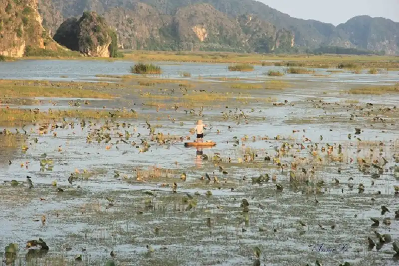 wanderlusttips-du-lich-van-long-4