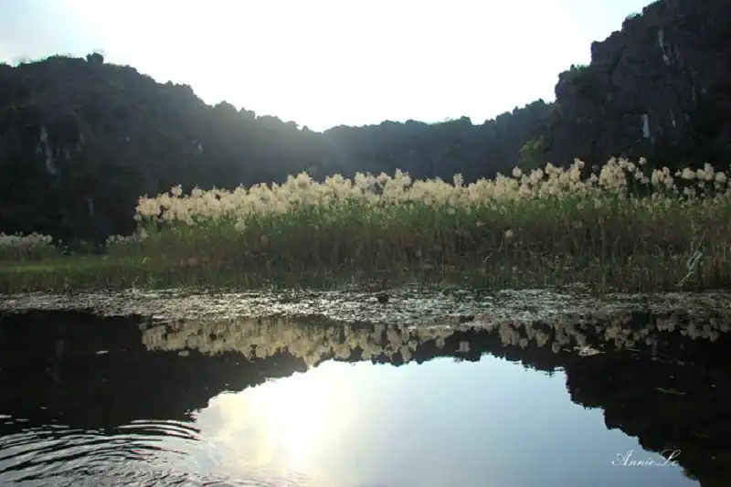 wanderlusttips-du-lich-van-long-5