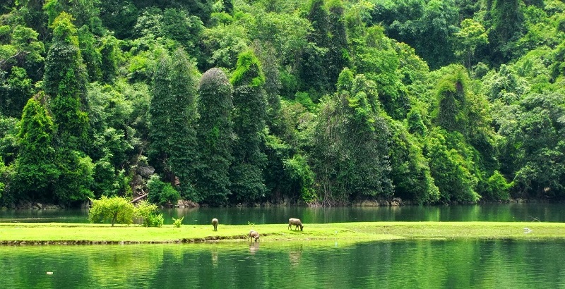 wanderlusttips kinh nghiem du lich bac kan 1