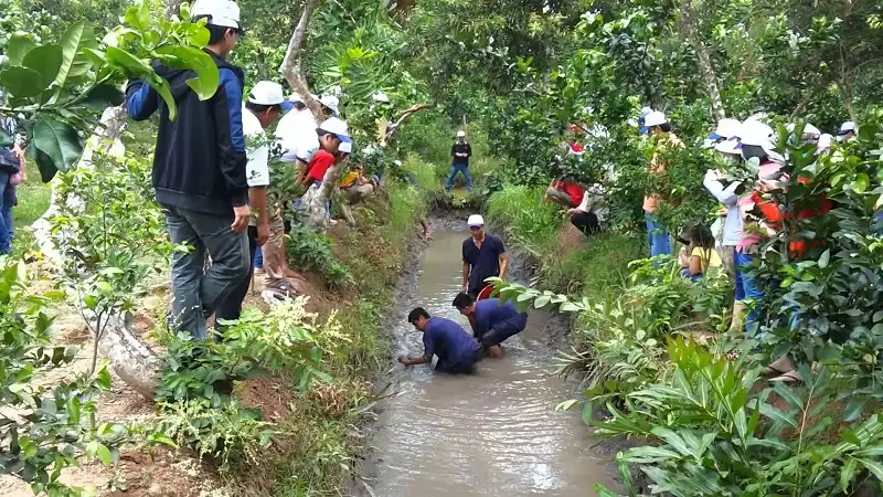 Kinh nghiệm du lịch miền sông nước Tiền Giang 5 wanderlusttips-kinh-nghiem-du-lich-tien-Giang-1