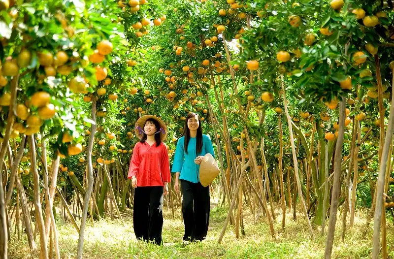 Kinh nghiệm du lịch miền sông nước Tiền Giang 6 wanderlusttips-kinh-nghiem-du-lich-tien-trangjpg