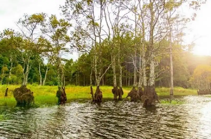 wanderlusttips-la-phong-da-lat-2