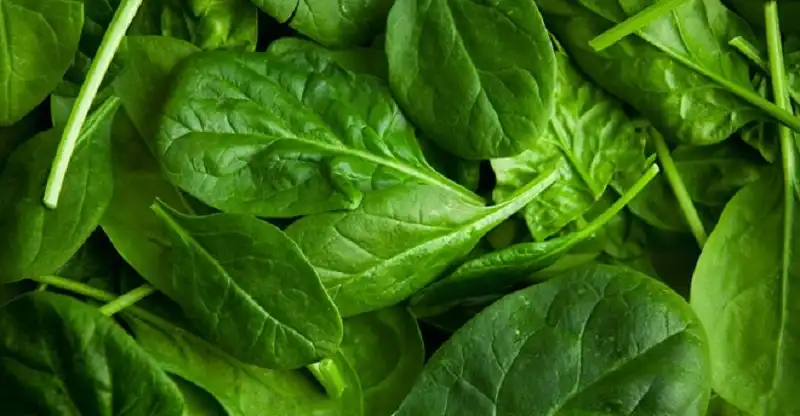 Món ăn dịp Tết của các nước trên thế giới 6 wanderlusttips-mon-an-tet-duong-lich-tren-the-gioi-1