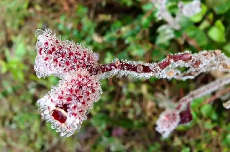 wanderlusttips- sapa-cao-bang-trang-xoa-boi-bang-gia-7