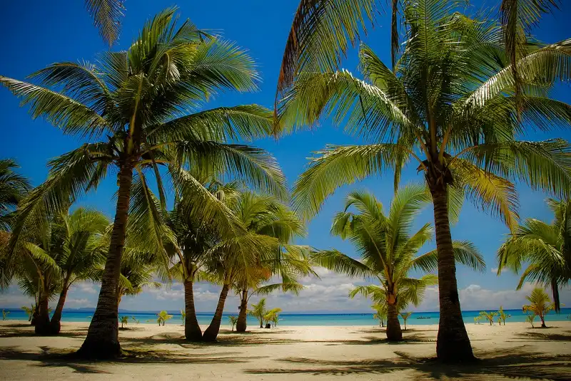 wanderlusttips-thanh-pho-dong-nam-a-2