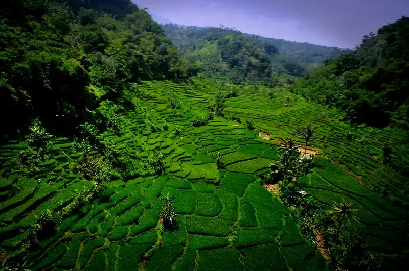 wanderlusttips-thanh-pho-dong-nam-a-4