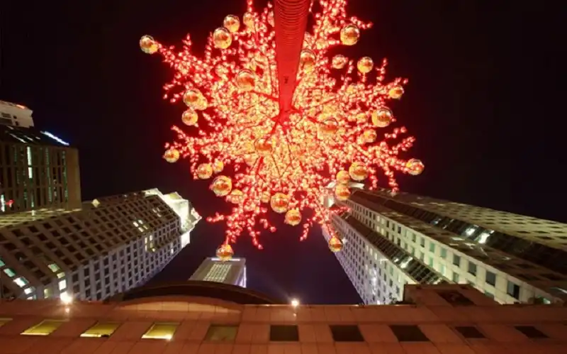 Mãn nhãn những cây thông tuyệt đẹp dịp Giáng sinh ở các quốc gia 13 wanderlusttips-top-10-cay-thong-dep-mua-giang-sinh-2015-4