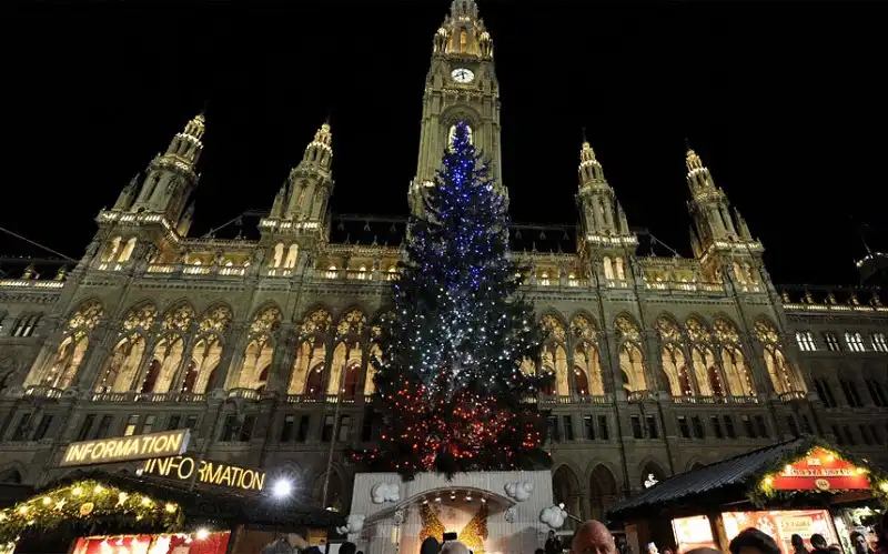 Mãn nhãn những cây thông tuyệt đẹp dịp Giáng sinh ở các quốc gia 6 wanderlusttips-top-10-cay-thong-dep-mua-giang-sinh-2015-5