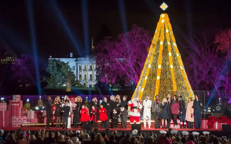 Mãn nhãn những cây thông tuyệt đẹp dịp Giáng sinh ở các quốc gia 8 wanderlusttips-top-10-cay-thong-dep-mua-giang-sinh-2015-6
