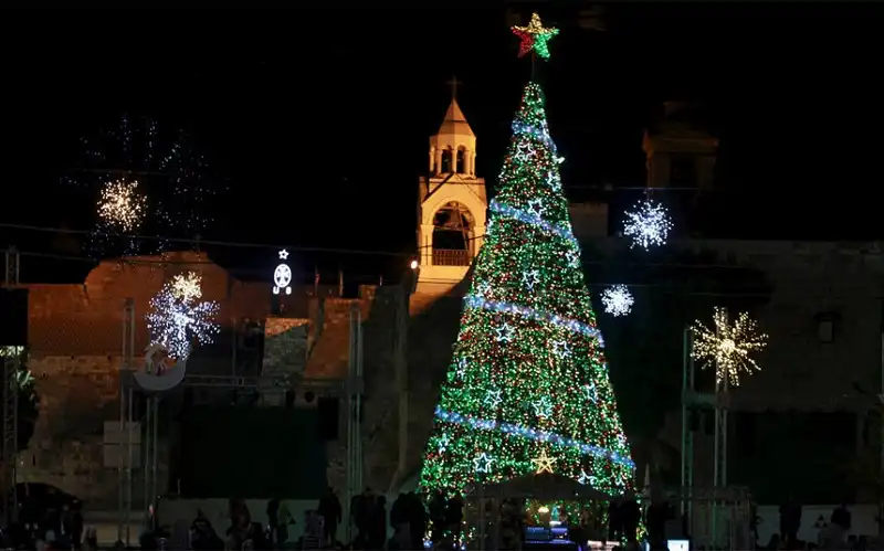 Mãn nhãn những cây thông tuyệt đẹp dịp Giáng sinh ở các quốc gia 11 wanderlusttips-top-10-cay-thong-dep-mua-giang-sinh-2015-8
