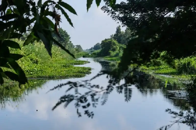 Về miền Tây đi cầu khỉ, băng rừng U Minh Thượng 7 wanderlusttips-ve-mien-tay-di-cau-khi-bang-rung-u-minh-thuong-1