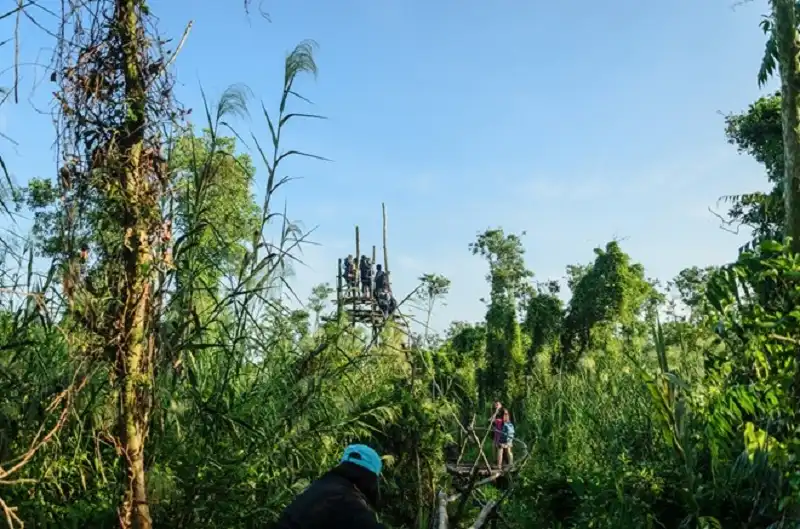 Về miền Tây đi cầu khỉ, băng rừng U Minh Thượng 9 wanderlusttips-ve-mien-tay-di-cau-khi-bang-rung-u-minh-thuong-2