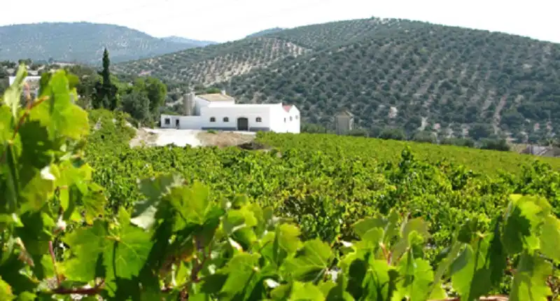 wanderlusttips-viet-nam-lot-top-hanh-trinh-am-thuc-tot-nhat-2016-1