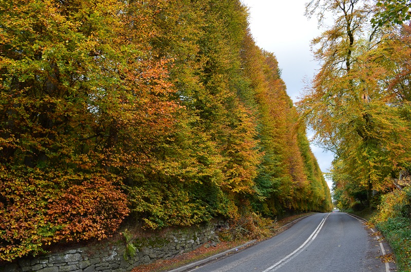 aa