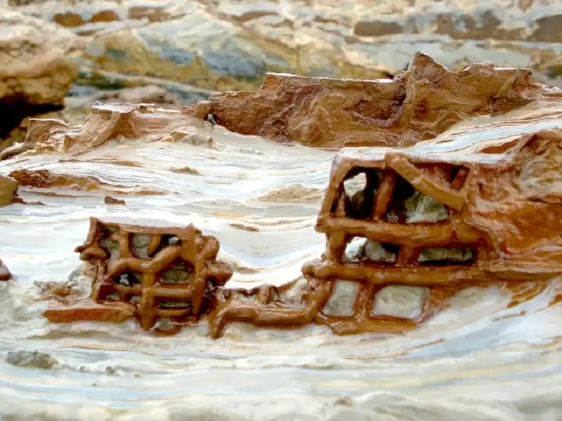 vachnuisocalotrendaocoto3