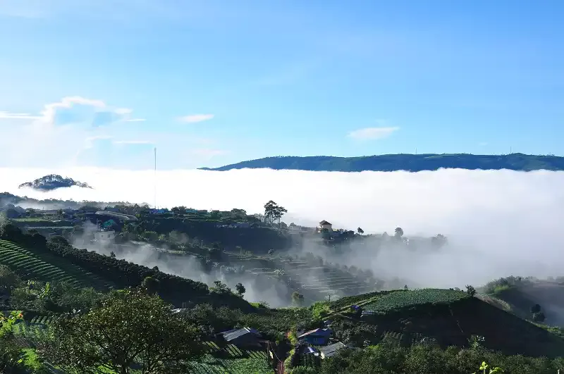 12 điểm du lịch hoàn toàn miễn phí ở Đà Lạt 5 wanderlusttips-12-diem-du-lich-hoan-toan-mien-phi-o-da-lat-2