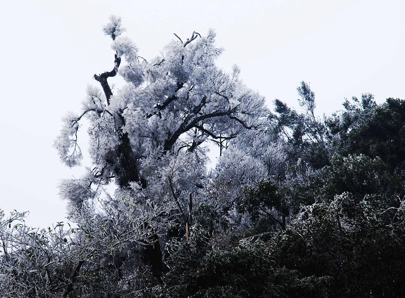 5 địa điểm tuyệt vời để ngắm tuyết rơi tại Việt Nam