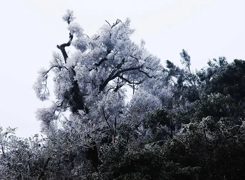 wanderlusttips-5-dia-diem-ngam-tuyet-roi