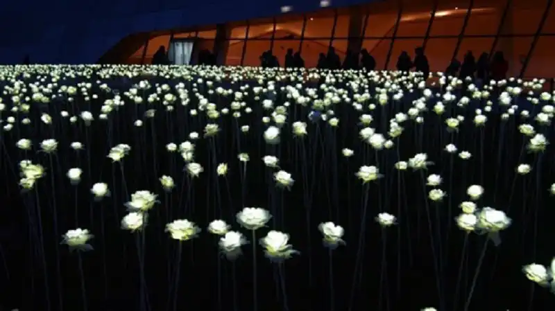 wanderlusttips-5-diem-den-nhat-dinh-pha-ghe-tham-khi-toi-han-quoc-1